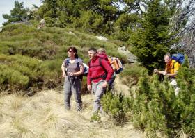 photo coins arrondis